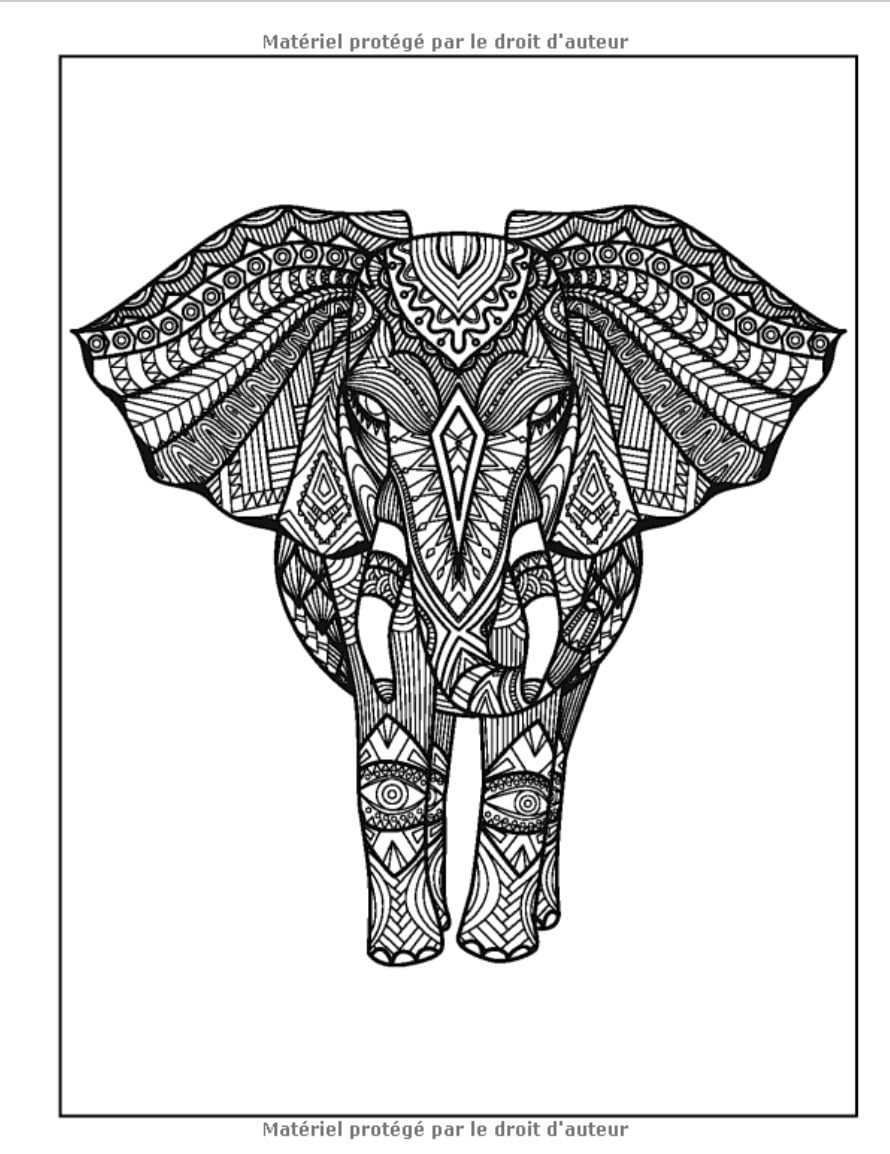 100 Animaux - Livre de coloriage avec mandalas : Livre de coloriage pour adultes (Volume 4) - 210 pages Format A4