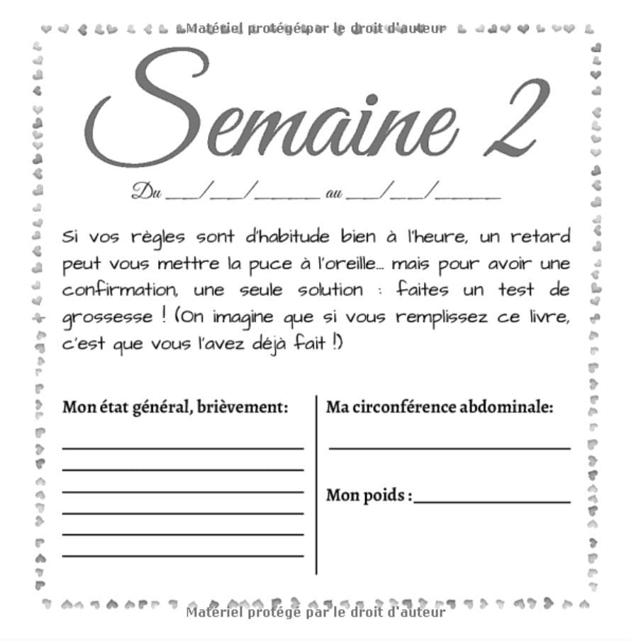 Papa, Maman, j'arrive ! - Journal de grossesse à compléter pour les futurs mamans - 164 pages Format 21x21 cm