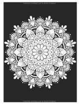 Livre de coloriage pour adulte : 60 mandalas pour la réduction du stress au format A4 / 124 pages