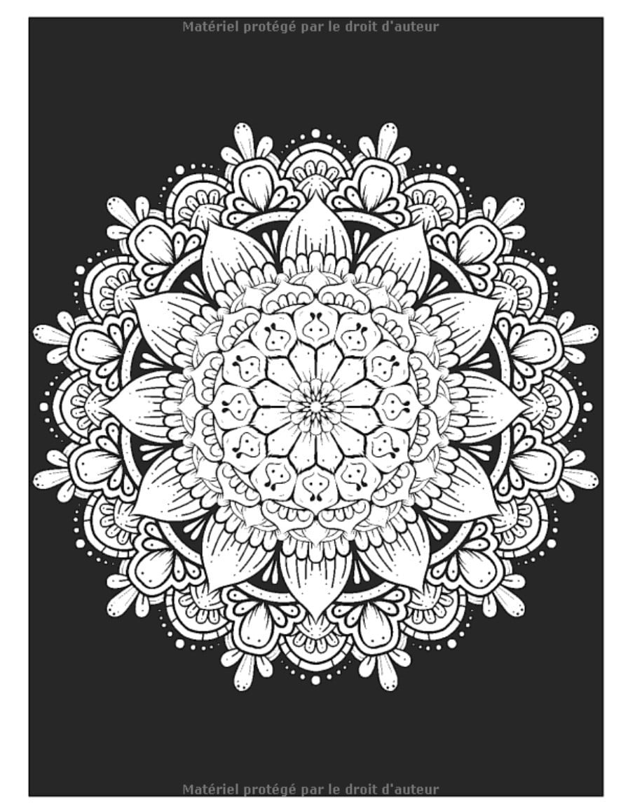 Livre de coloriage pour adulte : 60 mandalas pour la réduction du stress au format A4 / 124 pages