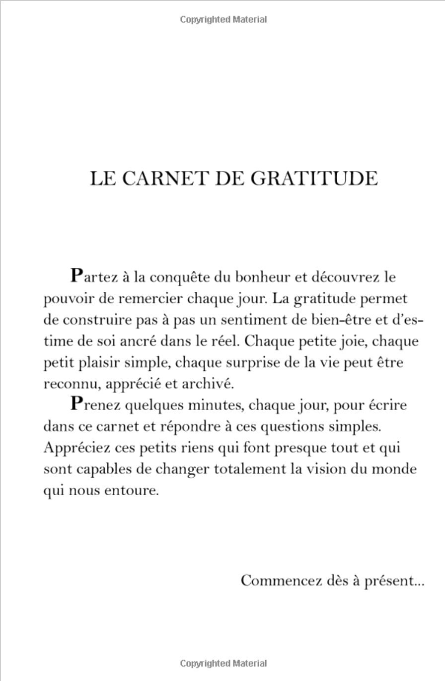 Carnet de gratitude: journal de bien-être & pensée positive - 100 pages Format 13 x 20 cm