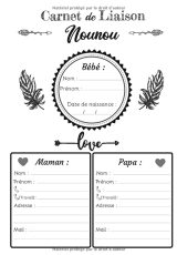 Carnet de Liaison Nounou : Journal de bord quotidien de bébé à compléter - Cahier de suivi maternel et transmission entre parents et nounou, assistante - 124 pages Format 18 x 25 cm