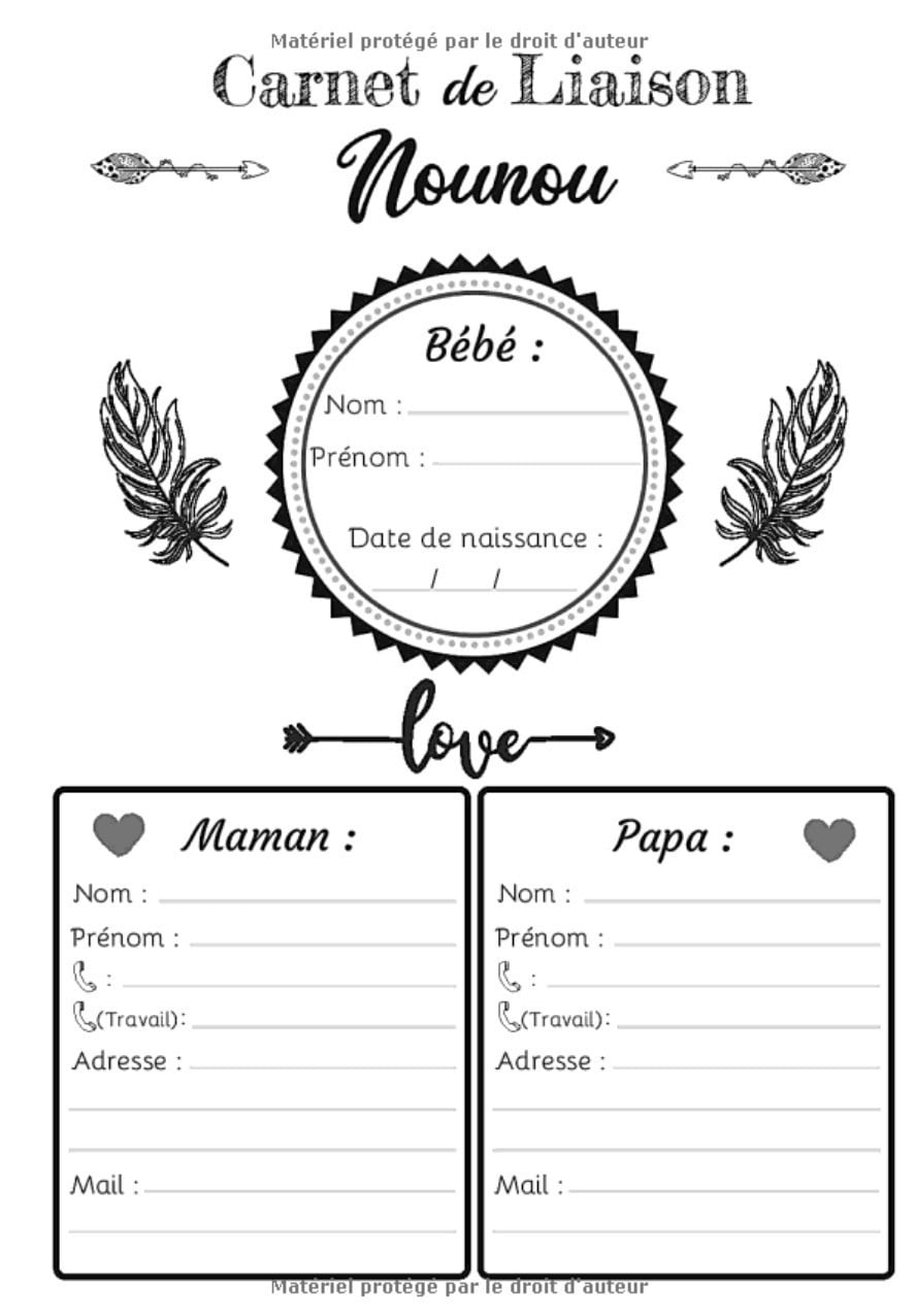 Carnet de Liaison Nounou : Journal de bord quotidien de bébé à compléter - Cahier de suivi maternel et transmission entre parents et nounou, assistante - 124 pages Format 18 x 25 cm