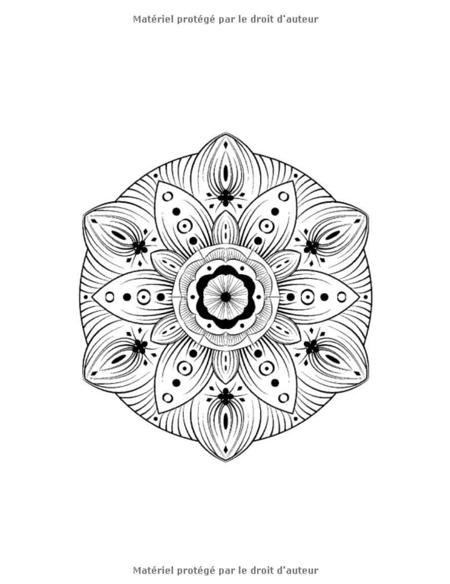 MANDALA LIVRE DE COLORIAGE POUR ADULTES / 100 images à colorier pour soulager le stress - 205 pages Format A4