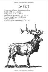 Carnet de Chasse - Mes Plus Belles Prises - Carnet de notes pour chasseur: 15 x 22 cm - 123 pages