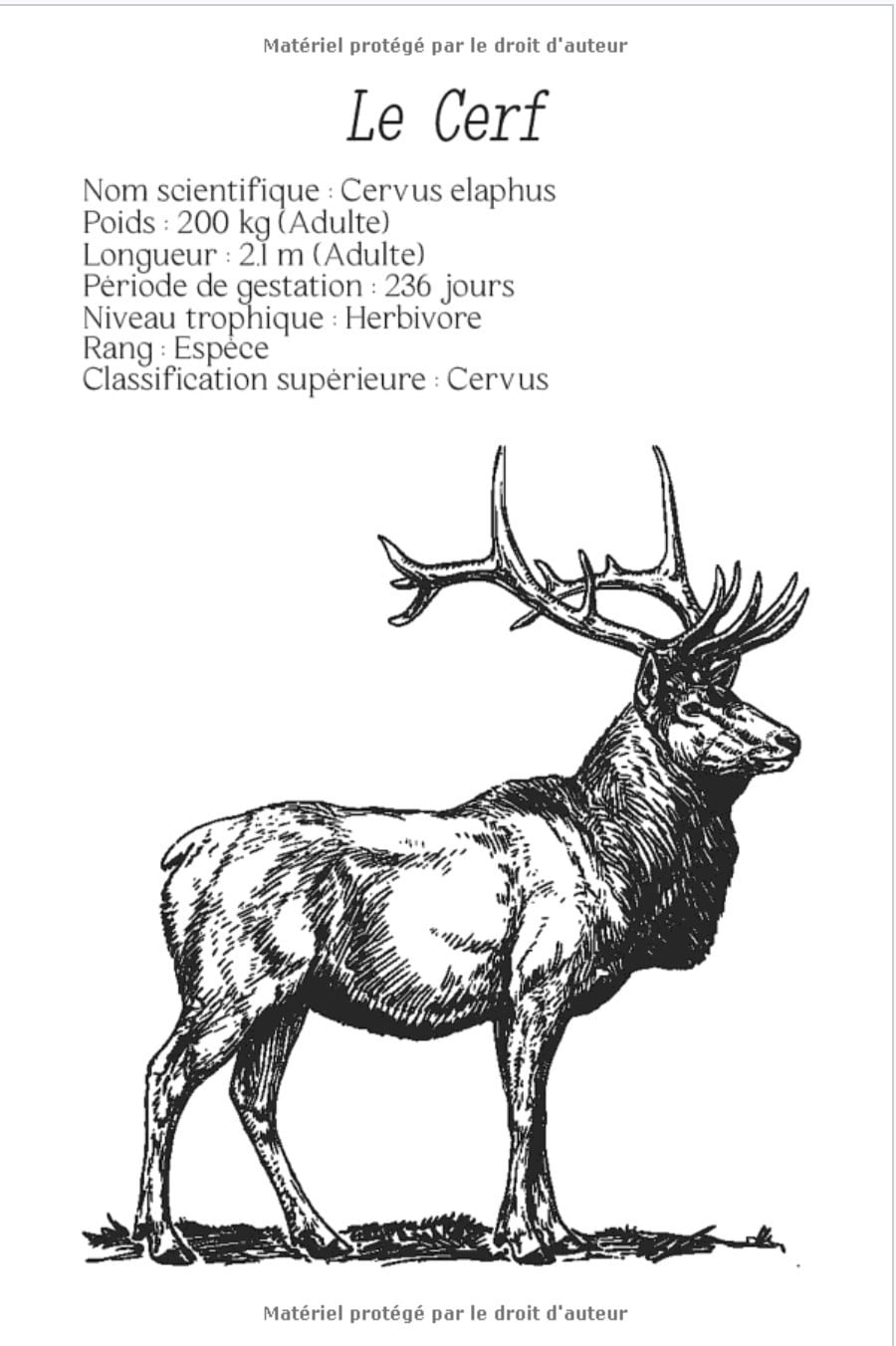 Carnet de Chasse - Mes Plus Belles Prises | Carnet de notes pour chasseur: 15 x 22 cm | 123 pages