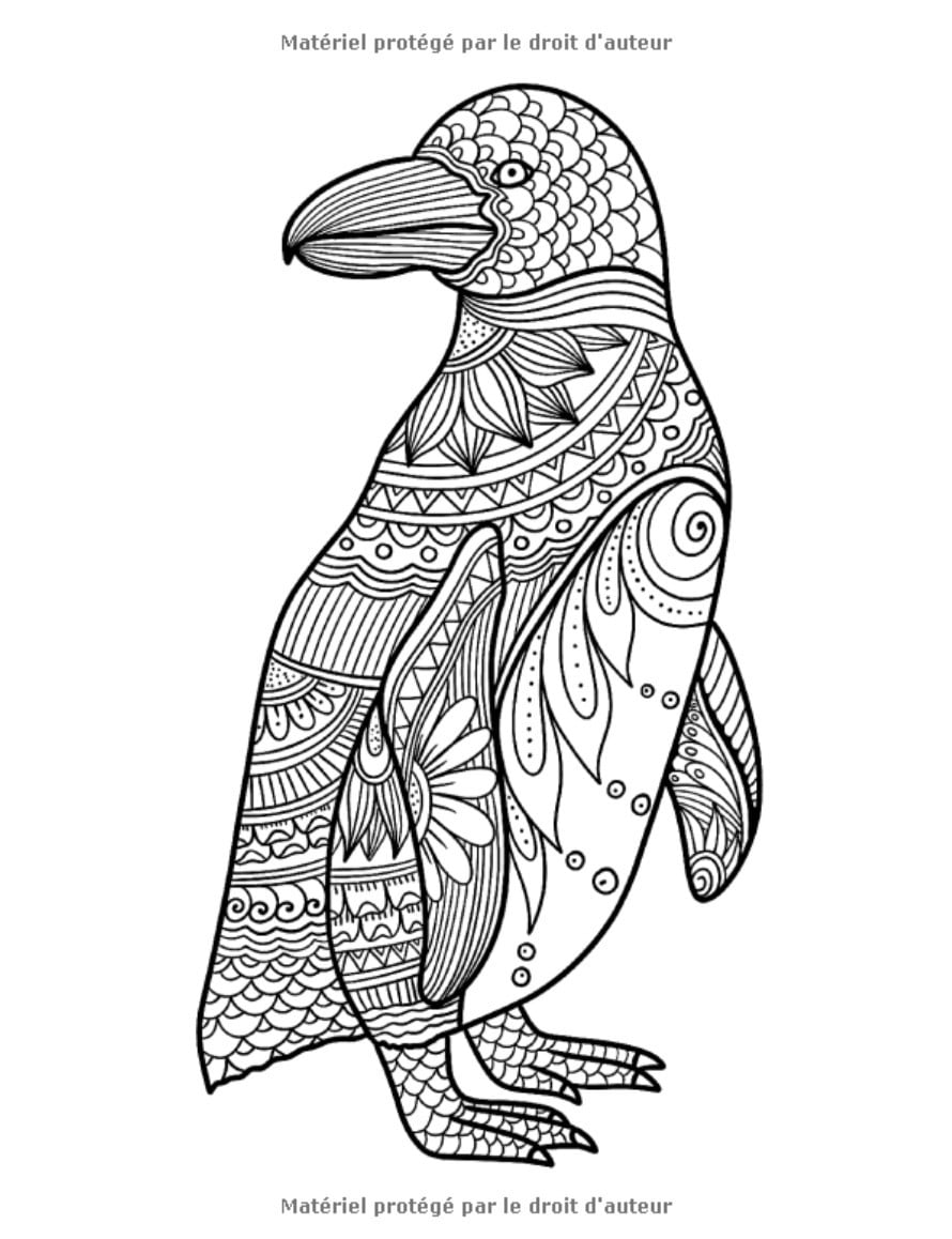 Livre coloriage Mandalas animaux - 50 dessins animaux pour enfants de 8 ans et plus - 105 pages Format A4