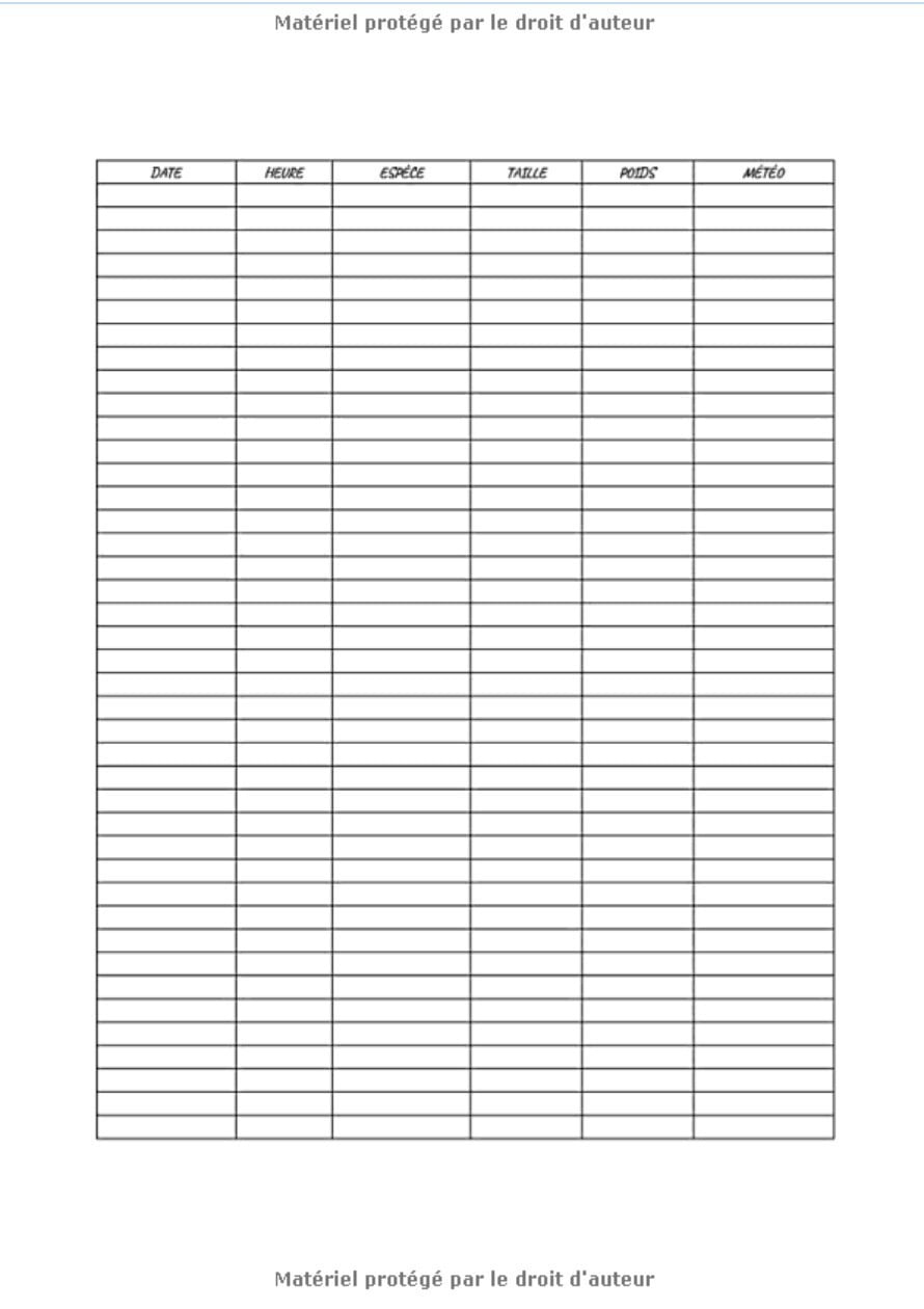 Carnet de pêche : Silure - 101 pages - Format 18 x 25 cm - Carnet à remplir pour les pêcheurs
