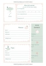 CARNET DE SUIVI BÉBÉ - Journal de bord de bébé - 90 Jours à remplir, du 1er jour à la maternité jusqu'à 3 mois - 93 pages Format 18 x 25 cm