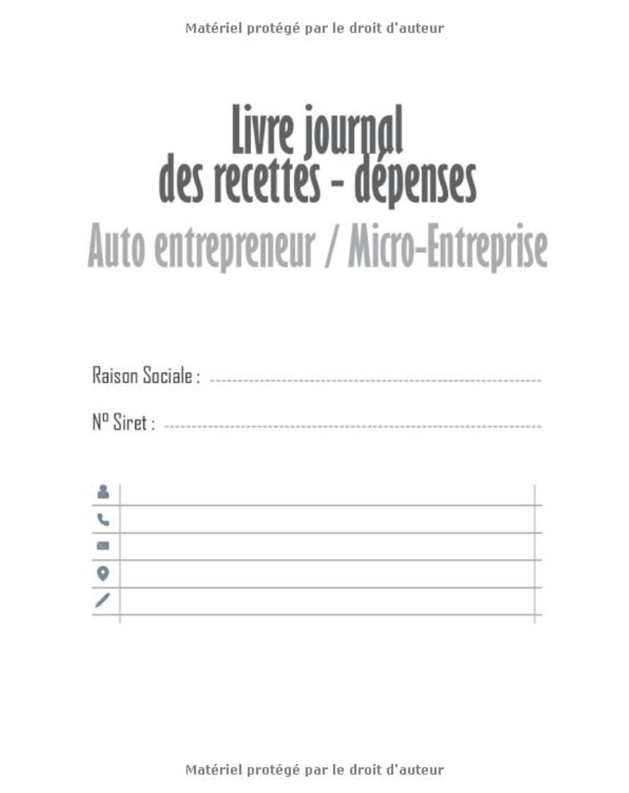 Journal Recettes - Dépenses: Registre auto entrepreneur, livre de compte auto entrepreneur, chronologique | Conforme aux obligations comptables | 101 pages Format 20 x 25 cm