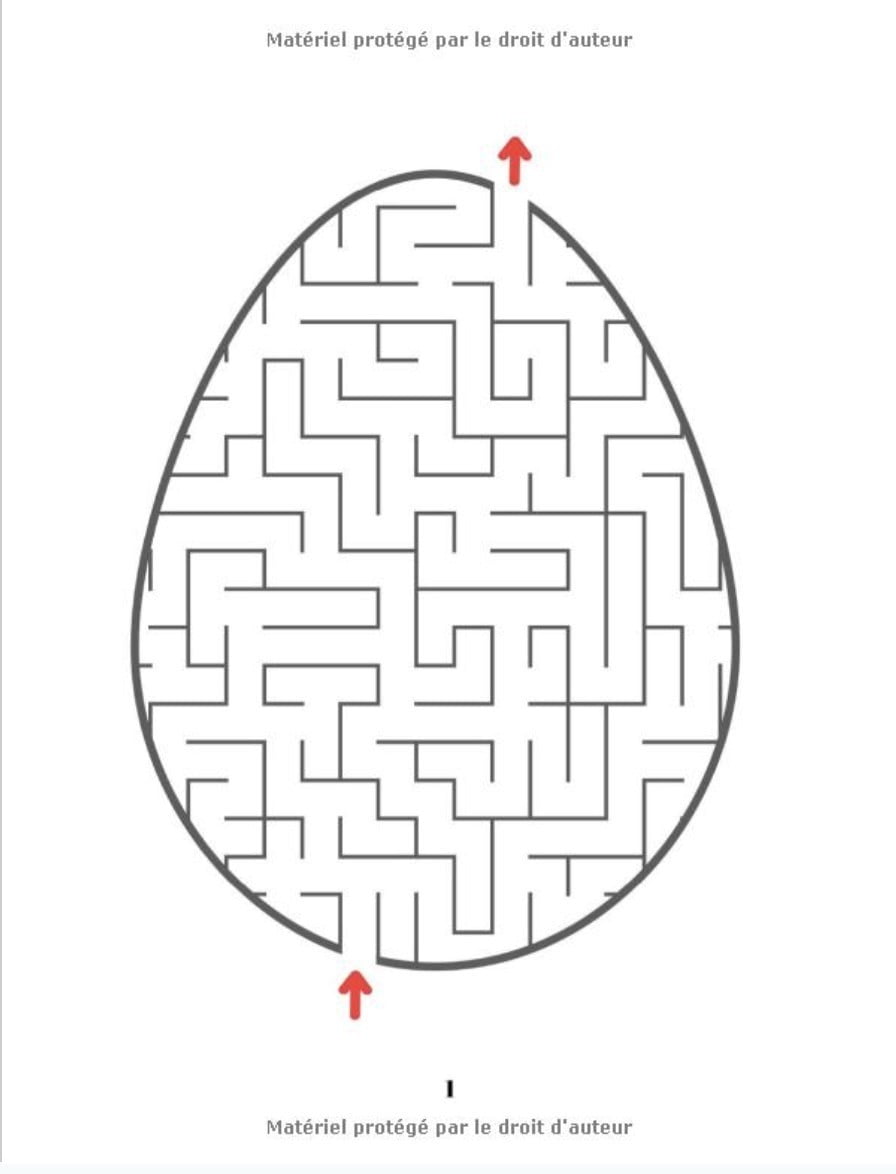 Livre de jeux pour enfant dès 5 ans : Mots mêlés, Trouve les différences, Dessins point par point, Sudoku, labyrinthe - 80 pages Format A4