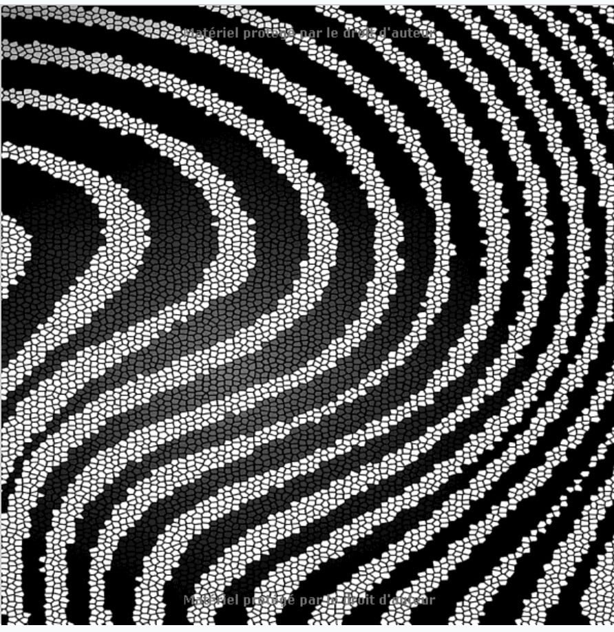 Coloriage Illusion d'optique : Coloriages envoûtants pour adultes et enfants minutieux - 86 pages Format 21,5 x 21,5 cm