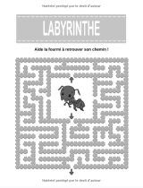 Labyrinthes 4 ans et + : Livre de jeux / activités – 39 labyrinthes variés à découvrir - 43 pages format A4
