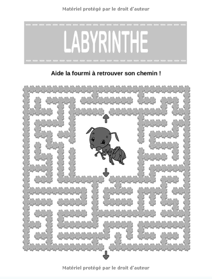 Labyrinthes 4 ans et + : Livre de jeux / activités – 39 labyrinthes variés à découvrir - 43 pages format A4
