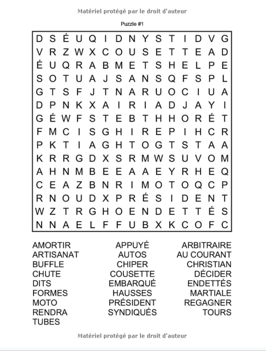 Livre de jeux adultes : 190 JEUX - MAXI FORMAT 186 pages - Mots mêlés, Sudoku, Labyrinthes, etc - Format A4