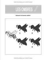 Maxi carnet de jeux 120 jeux - Jeux d'ombres, point par point, labyrinthes, jeux des différences - 130 pages - Format A4