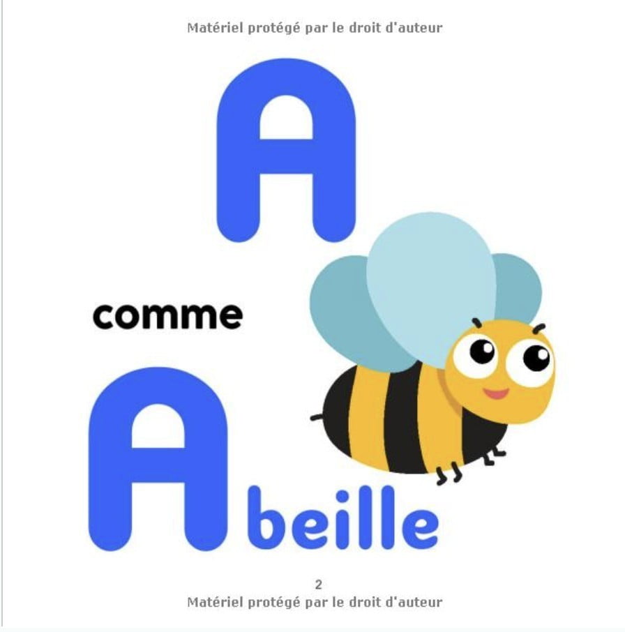 J'observe et je trouve - Les animaux : ABC des animaux - J'apprends l'alphabet en images - Pour enfants de 2, 3, 4 ans - 41 pages Format 21,5 x 21,5 cm