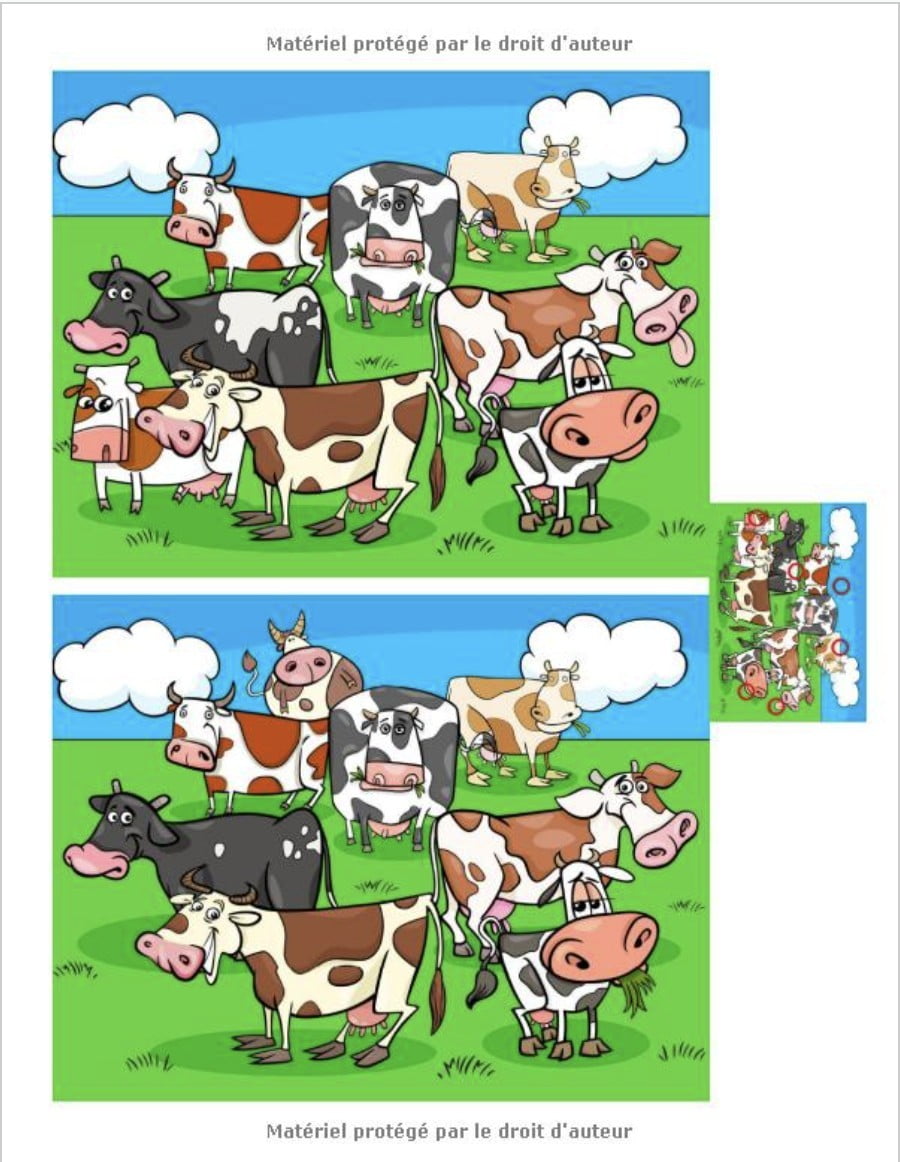 Cherche les Erreurs : Trouve les différences, Livre de jeux pour enfants dès 5 ans - 64 pages format A4