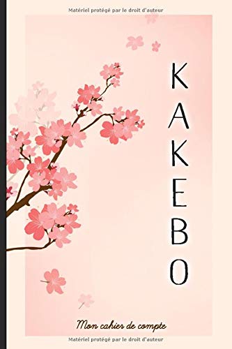 Kabeibo Livre de compte : Cahier de tenue de compte mensuelle et de budget familial. Format 15 x 23 cm ( A5 ) - 100 pages