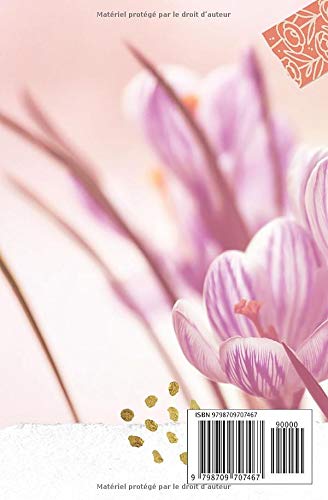Journal de Prières et Gratitudes : 52 semaines de prières précises avec Dieu | Journal de prières guidées, de gratitude, d'adoration et de méditation | 56 pages - Format 13 x 20 cm