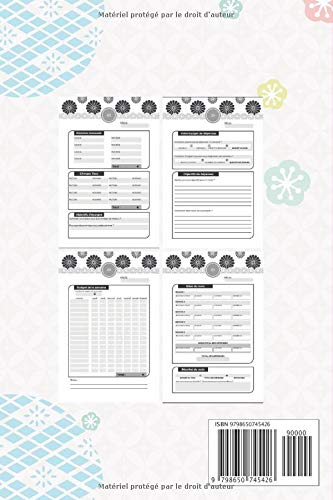 KAKEBO : Livre de gestion des comptes à remplir au quotidien pour tenir son budget et économiser - 103 pages Format 15 x 22 cm