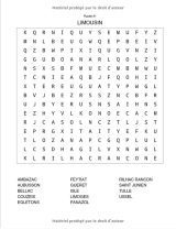 Mots mêlés Adulte Spéciale Villes de France - 35 pages Format A4