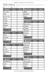 Budget planner - Cahier de compte : Livre journal de tenue de compte mensuelle et de budget familial - 100 pages Format 15 x 22 cm