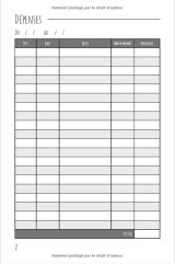 Budget planner - Cahier de compte : Livre journal de tenue de compte mensuelle et de budget familial - 100 pages Format 15 x 22 cm