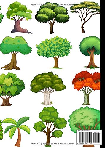 Arbre Généalogique à remplir. Mener des recherches sur mes ancêtres : Permet aux enfants de construire leur arbre généalogique - 42 pages Format A4