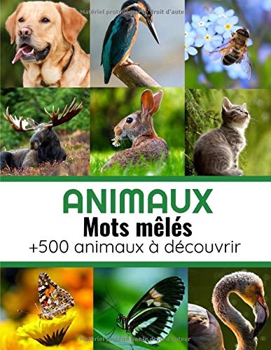 Animaux Mots Mêlés : Mots cachés Adultes sur les Animaux (avec Solutions) - Découvrez plus de 500 espèces animales - 51 pages Format A4