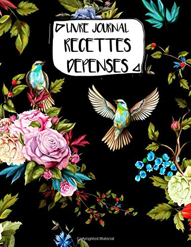 Livre Journal Recettes Dépenses : Format A4 - 106 pages