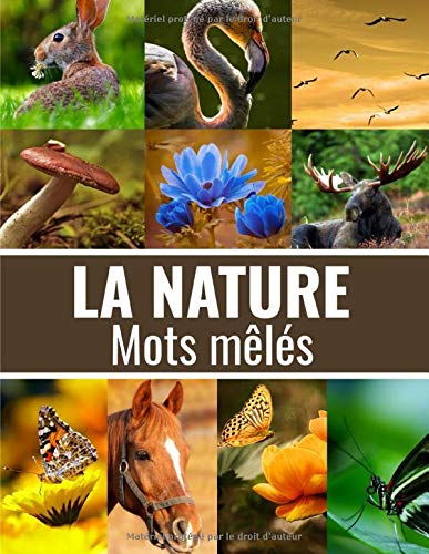 Mots mêlés Adultes sur la Nature (avec Solutions) - Découvrez les animaux, fleurs, arbres, fruits, poissons, plantes, et plus encore - Gros caractères, 51 pages Format A4