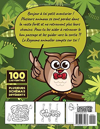 Labyrinthe enfant 5-8 ans : 100 Labyrinthes pour enfants, labyrinthe livre de puzzles pour les enfants - 103 pages Format A4