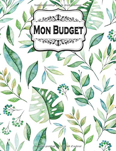Budget mensuel Familial : Carnet Budgétaire - A4 - 145 pages – 1 an