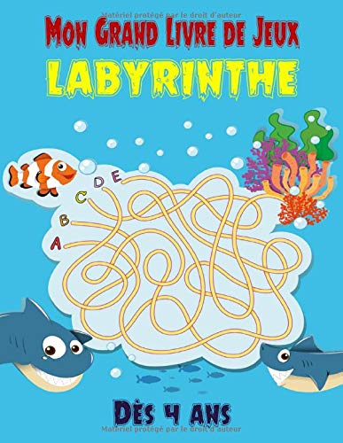 Livre de Jeux, Labyrinthe Dès 4 ans : livre de puzzles et activités pour les enfants - 100 pages Format A4