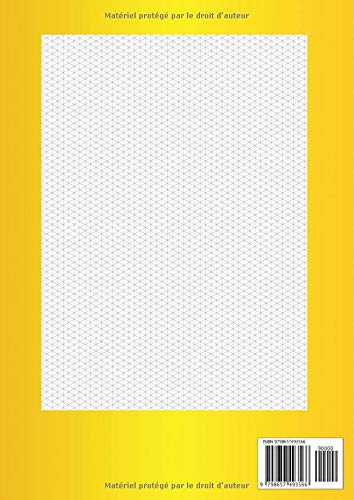 Carnet isométrique: Cahier de pages isométriques pour dessin en perspective - 5 mm - 200 pages FORMAT A4