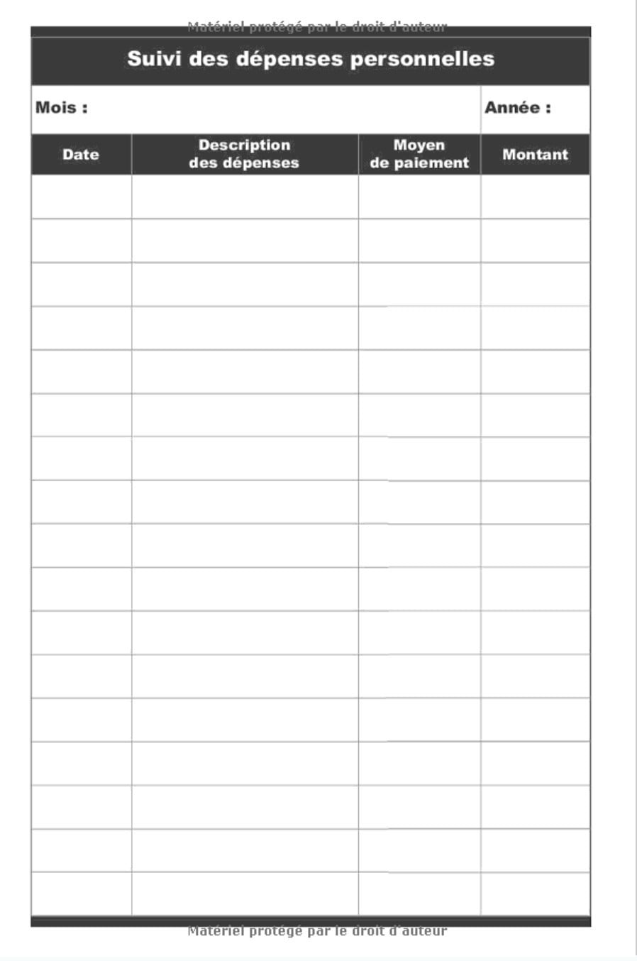 Carnet de compte personnel : Pour mieux gérer le budget hebdomadaire et mensuel - 100 pages Format 15 x 22 cm