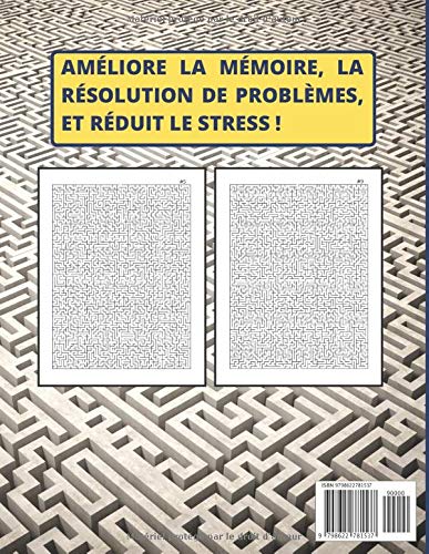 Labyrinthes Géants DIFFICILE / 50 GRILLES GEANTES + SOLUTIONS / Livre de jeux pour enfants, adultes et familles / 66 pages Format A4