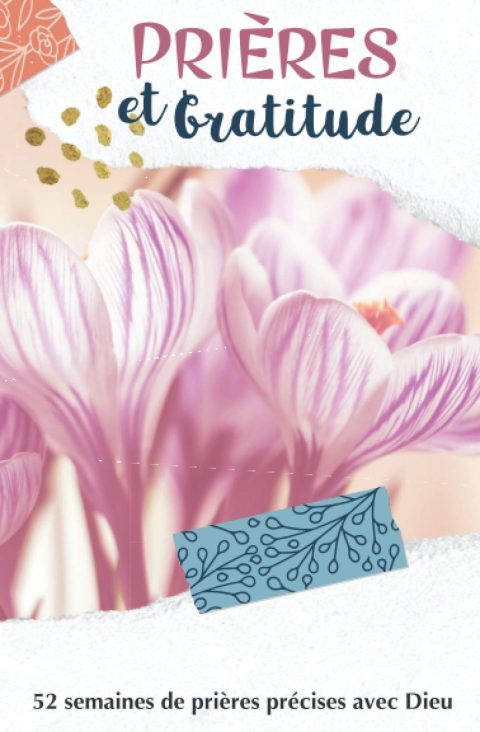 Journal de Prières et Gratitudes : 52 semaines de prières précises avec Dieu | Journal de prières guidées, de gratitude, d'adoration et de méditation | 56 pages - Format 13 x 20 cm