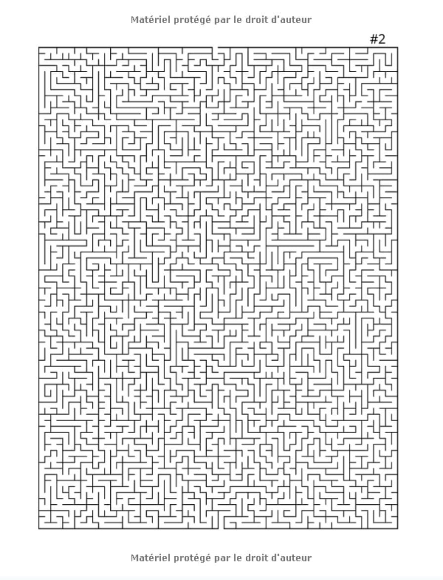 Labyrinthes Géants DIFFICILE / 50 GRILLES GEANTES + SOLUTIONS / Livre de jeux pour enfants, adultes et familles / 66 pages Format A4