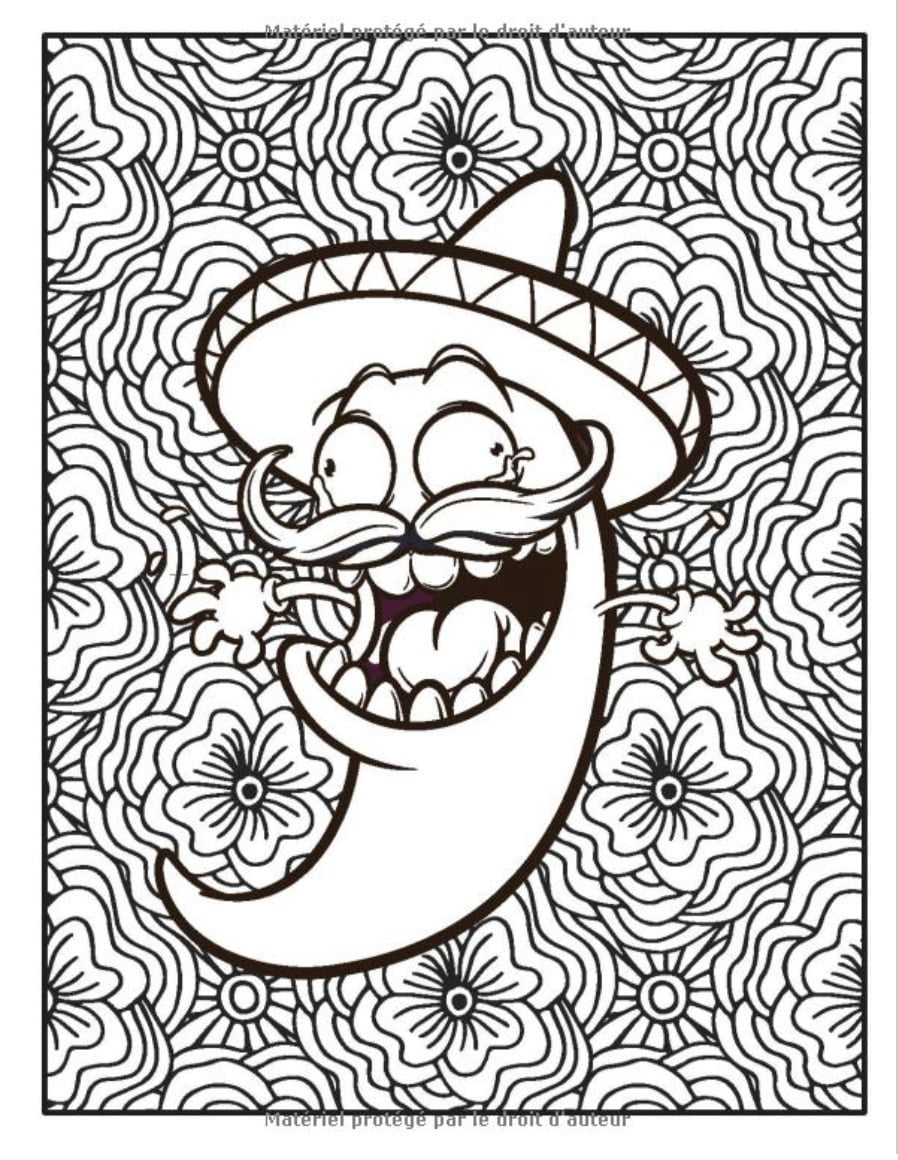 Livre de Coloriage Adulte Mandala Anti stress : Mandala adulte à colorier Avec Animaux drôles - 110 pages Format A4