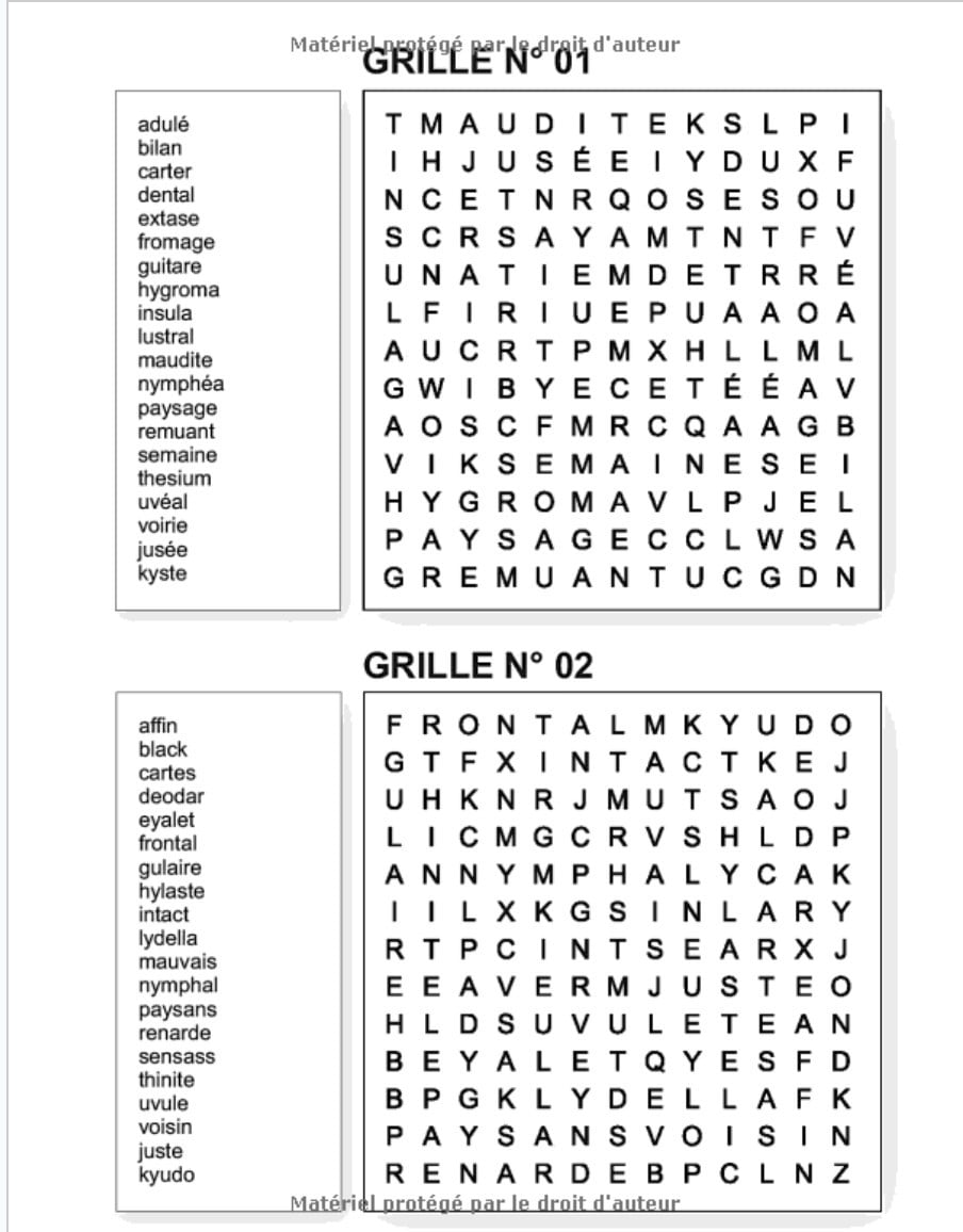 Grand livre d'activités adultes : 300 Jeux de Mots Mêlés et Sudokus. Livre de Loisirs Créatifs - 119 pages Format A4