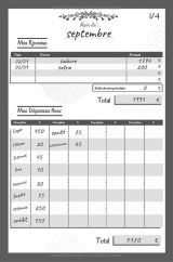 Kakeibo Carnet de Compte mensuel : Agenda de gestion budget mois par mois - 51 pages Format 15x23cm
