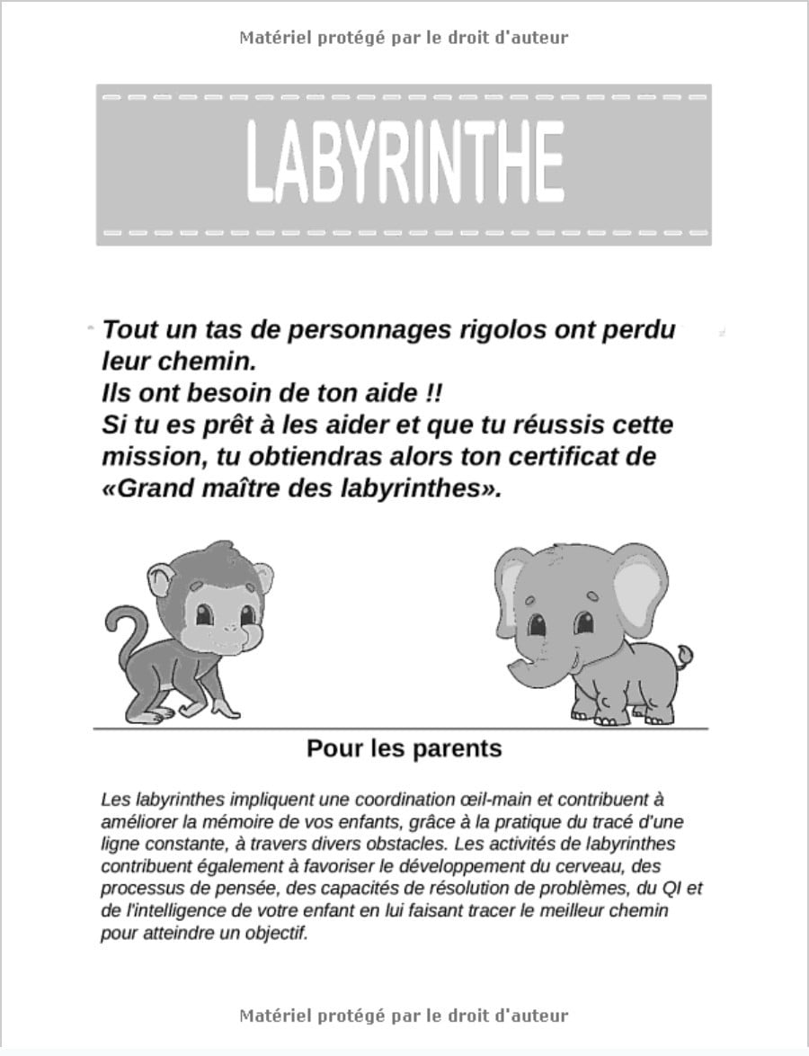 Labyrinthes 4 ans et + : Livre de jeux / activités – 39 labyrinthes variés à découvrir - 43 pages format A4