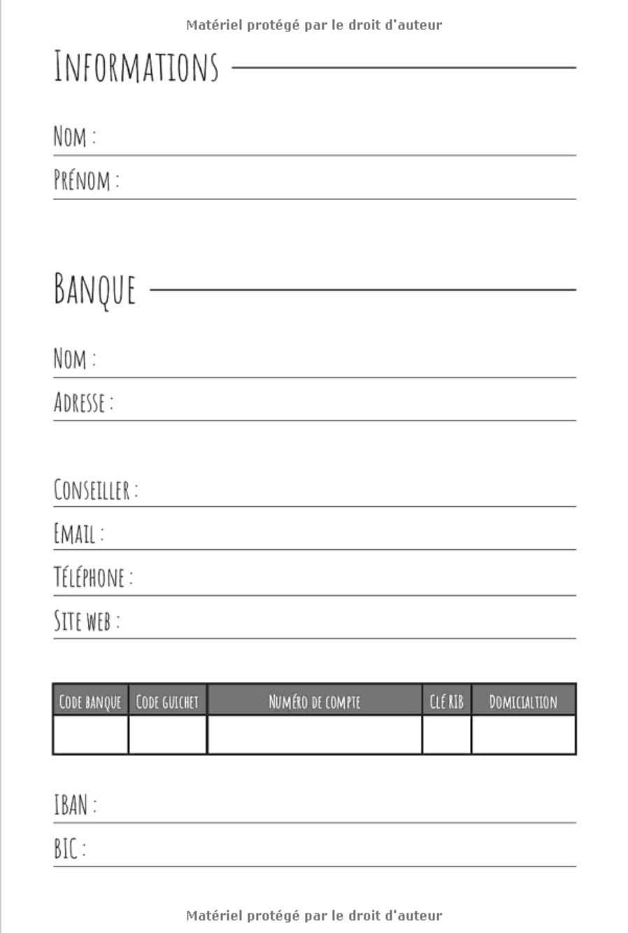Budget planner - Cahier de compte : Livre journal de tenue de compte mensuelle et de budget familial - 100 pages Format 15 x 22 cm