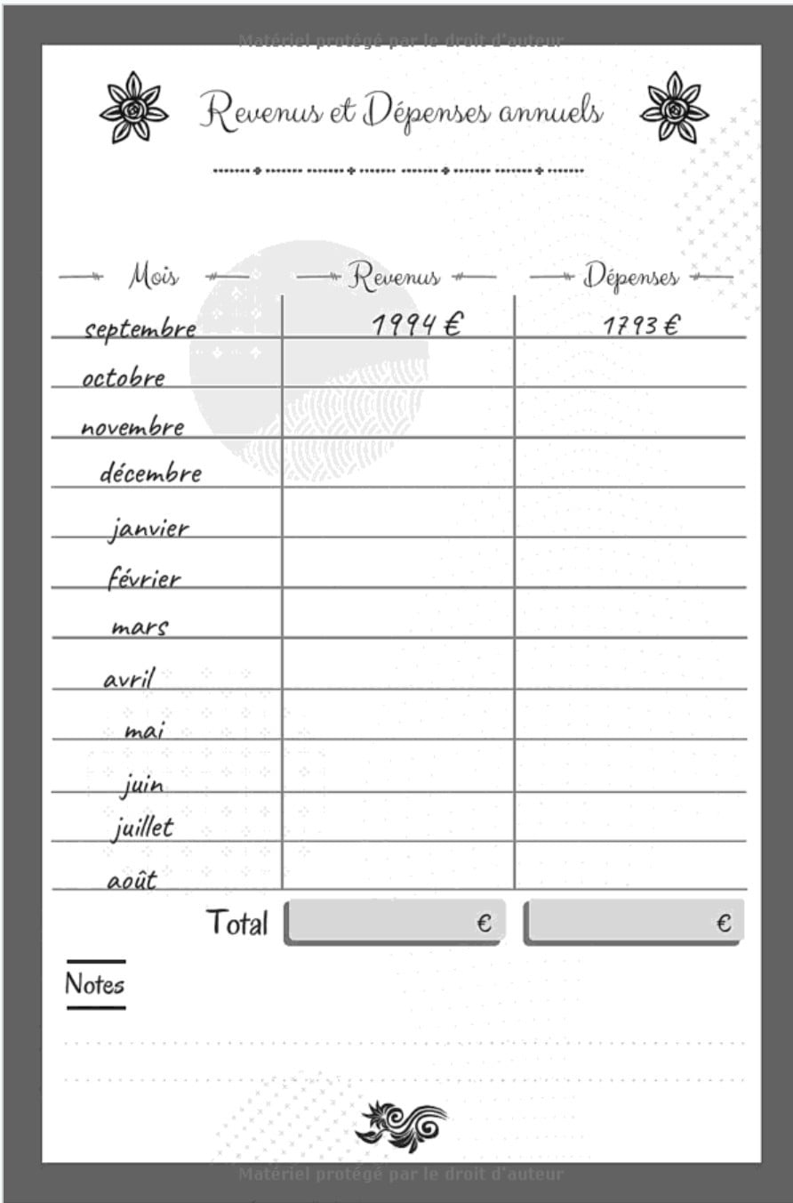 Kakebo carnet de compte - agenda pour tenir son budget mois par mois - 59 pages Format 15 x 22 cm