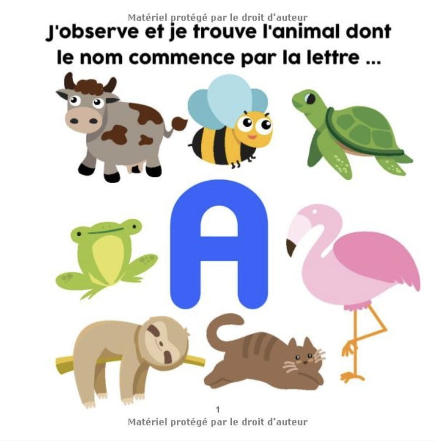 J'observe et je trouve - Les animaux : ABC des animaux - J'apprends l'alphabet en images - Pour enfants de 2, 3, 4 ans - 41 pages Format 21,5 x 21,5 cm