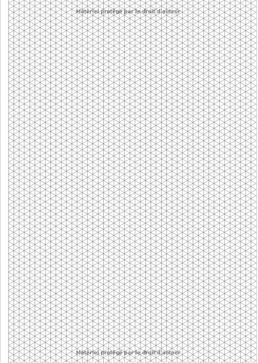 Carnet Isométrique: Cahier en pages Isométriques pour dessin 3D - côtés des triangles 5 mm - grille imprimée à l'encre gris clair - 200 pages Format A4
