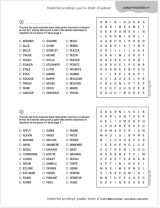 Donut Mystère Mots Mêlés Géant +10500 Mots : Dépassez vos limites avec une aventure de plus de 10500 mots à retrouver dans des grilles originales - 200 pages Format A4