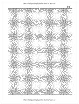 Labyrinthes Géants DIFFICILE / 50 GRILLES GEANTES + SOLUTIONS / Livre de jeux pour enfants, adultes et familles / 66 pages Format A4